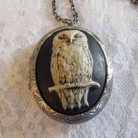 Mother’s Day Owl Locket Box Pill Photo Necklace Cameo gift mom grandma daughter - Picture 2 of 5